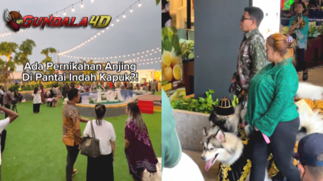 Pernikahan Anjing Pakai Adat Jawa Dikritik Keras, Kedua Pemilik Hewan Akhirnya Minta Maaf