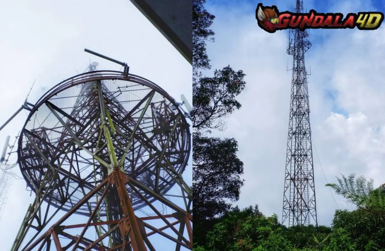 Heboh Tower BTS Setinggi 50 Meter Dicuri, Cara Bawanya Bikin Penasaran