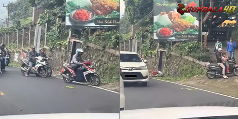 Viral Ular Hijau Bikin Macet Jalan, Pengendara Motor Takut Mau Lewat