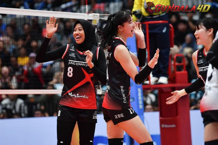 Kesuksesan Fun Volleyball antara tim bola voli putri Korea Selatan, Daejeon JungKwanJang Red Sparks, dan Indonesia All Star membawa hal