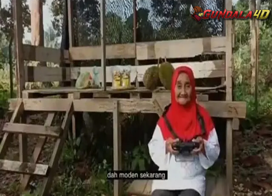 Nenek Ini Pantau Kebun Durian Pakai Drone, Aksinya Viral