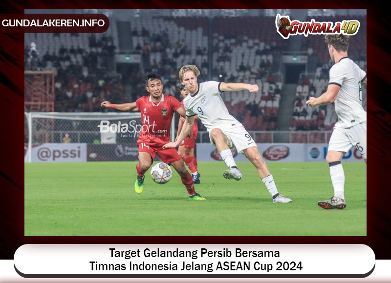 Gelandang Persib Bandung, Robi Darwis, memiliki target untuk bisa tembus skuad Timnas Indonesia di ASEAN Cup 2024.